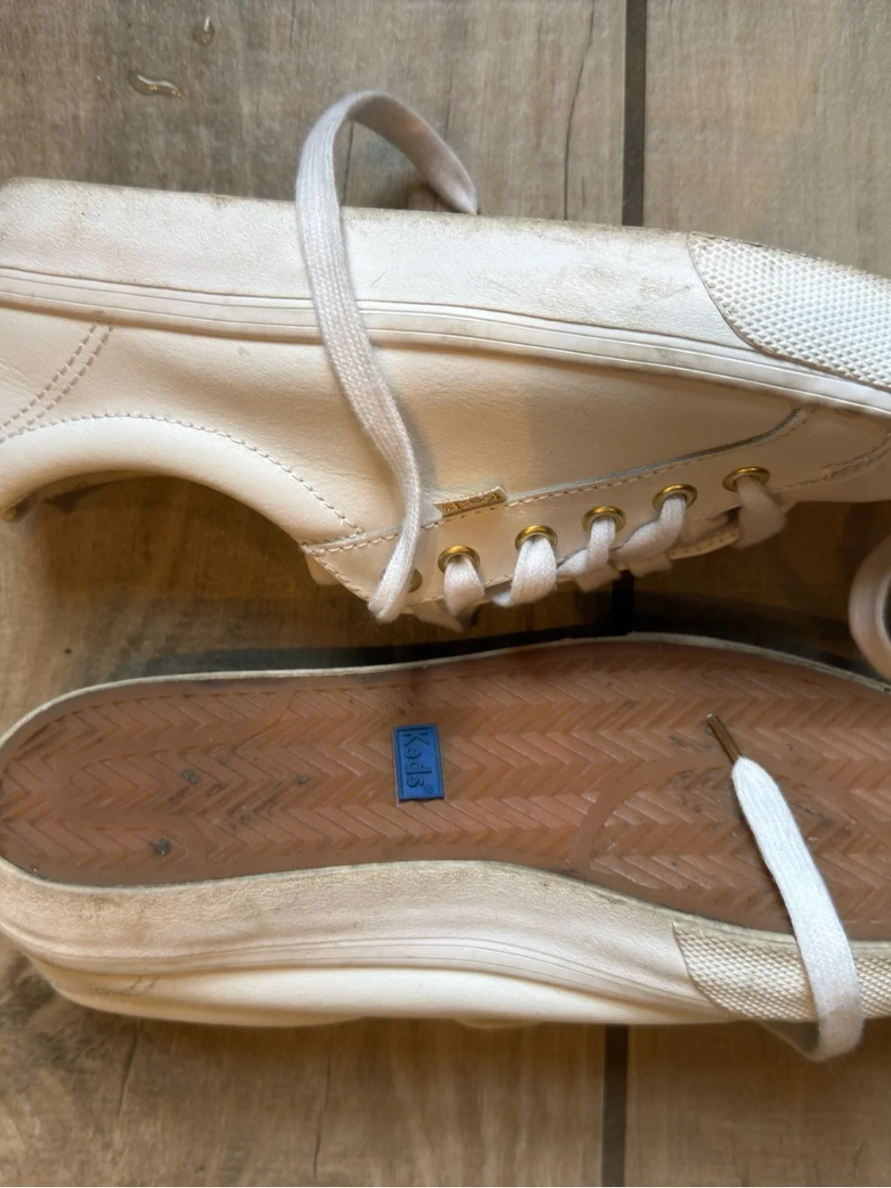 Keds Women's Low Top Canvas Sneaker in White with Gold Eyelets